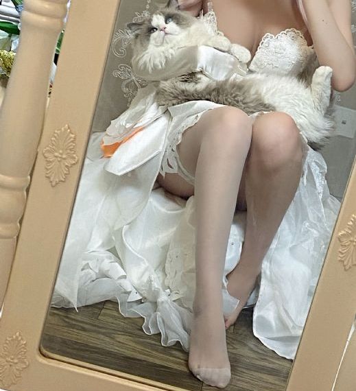 优雅的娼妇2