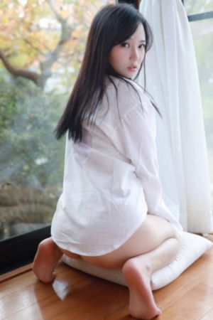 桃花劫电视剧大全